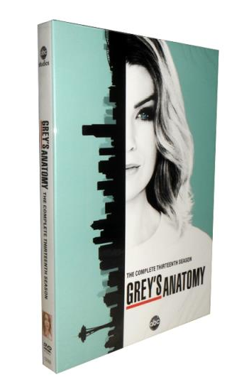 Grey's Anatomy Season 13 DVD Box Set - Click Image to Close